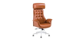 Elentra Ekstra Ofis Koltuğu