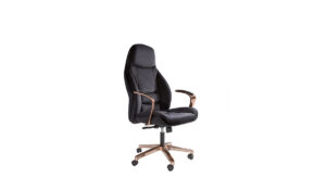 Ofis Koltukları