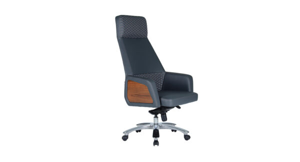 Land Ofis Koltuğu