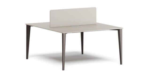 Polo 2P Workstation