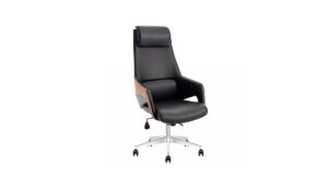 Royal Ofis Koltuğu