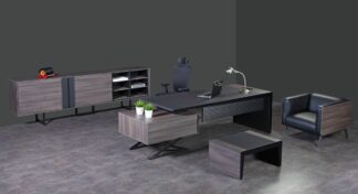 Spinoza Makam Takımı