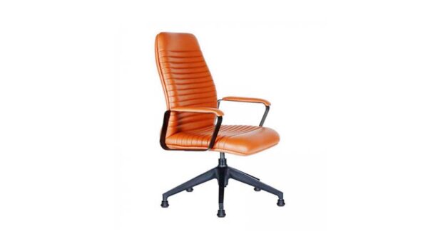 Capri Ofis Koltuğu - Görsel 3