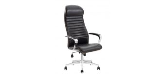 Pegasus Ofis Koltuğu